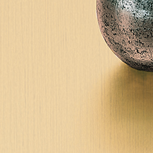 Aluminum Bronze Stainless